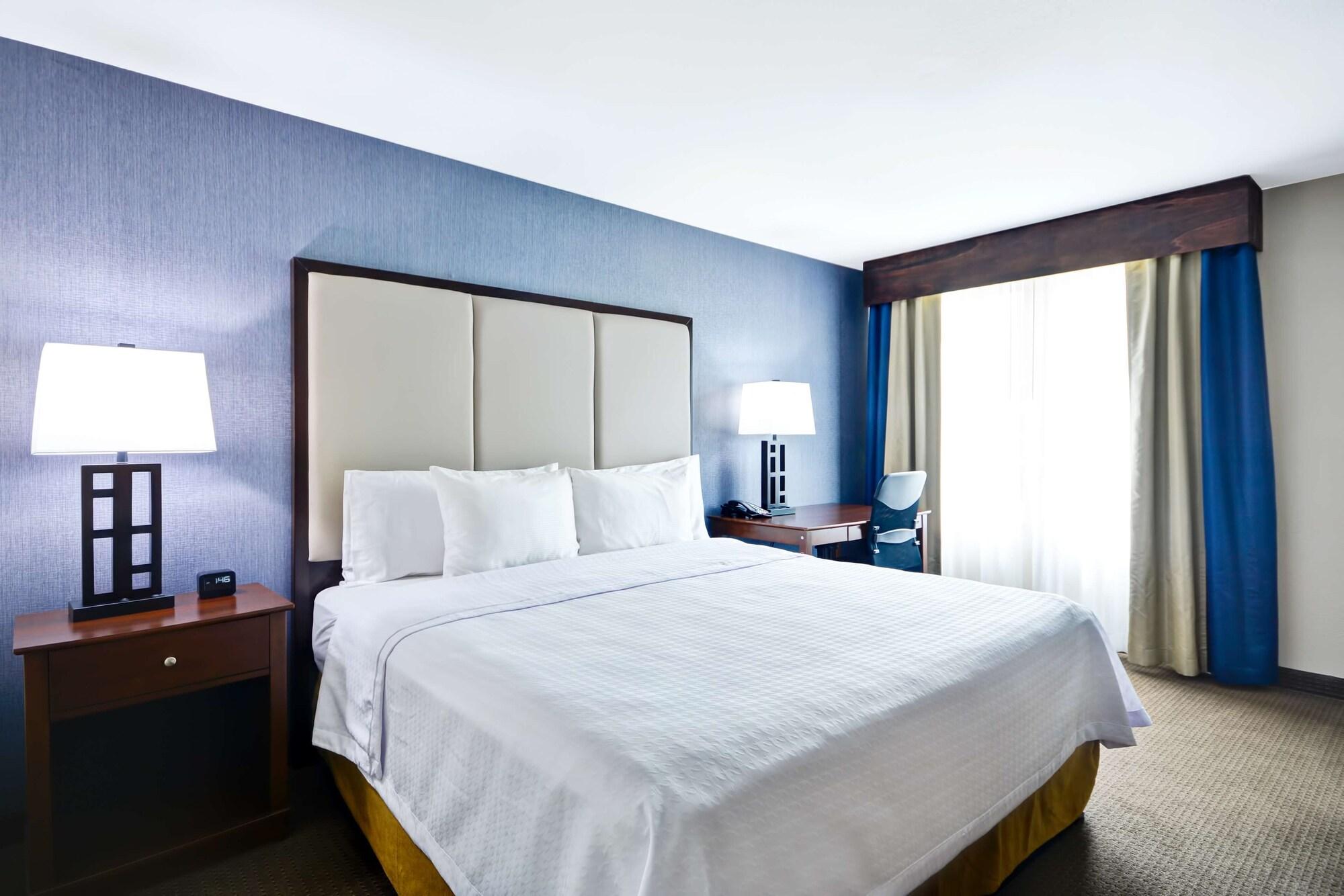 Homewood Suites By Hilton Dallas-Lewisville Dış mekan fotoğraf